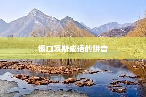 极口项斯成语的拼音