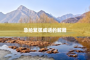 急拍繁弦成语的解释