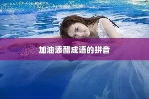 加油添醋成语的拼音