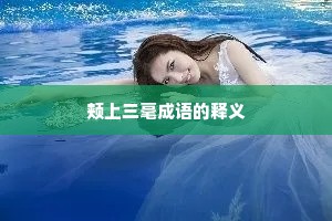 颊上三毫成语的释义