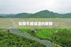 假痴不癫成语的解释
