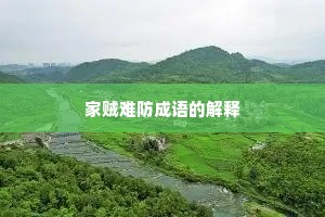 家贼难防成语的解释