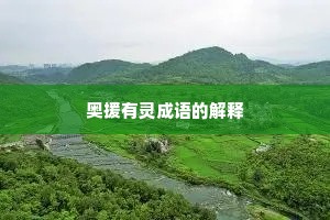 奥援有灵成语的解释