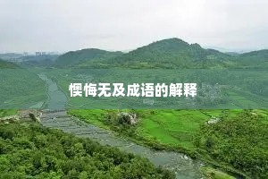 懊悔无及成语的解释