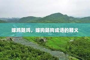 嫁鸡随鸡，嫁狗随狗成语的释义