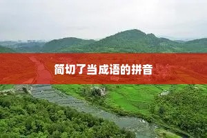 简切了当成语的拼音