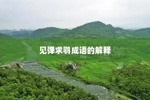 见弹求鹗成语的解释