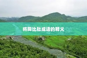 将胸比肚成语的释义