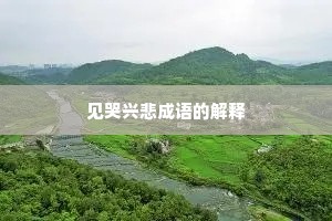 见哭兴悲成语的解释