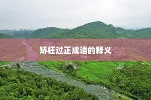 矫枉过正成语的释义