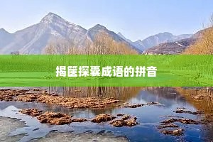 揭箧探囊成语的拼音