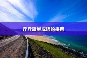 斤斤较量成语的拼音