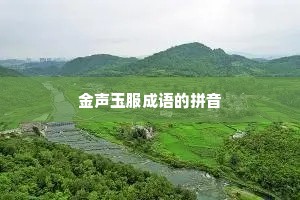 金声玉服成语的拼音