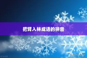 把臂入林成语的拼音