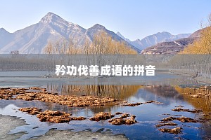 矜功伐善成语的拼音