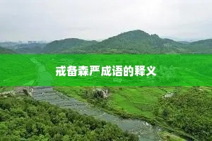 戒备森严成语的释义