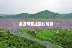 进退可否成语的解释