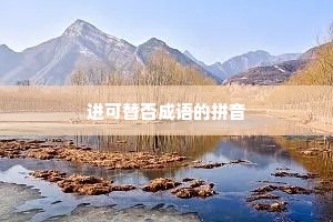 进可替否成语的拼音