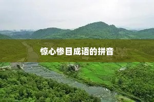 惊心惨目成语的拼音