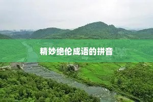 精妙绝伦成语的拼音