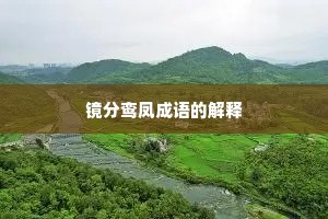 镜分鸾凤成语的解释