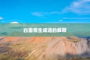 白面儒生成语的解释
