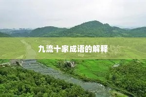 九流十家成语的解释