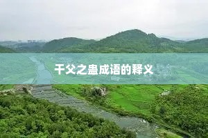 干父之蛊成语的释义