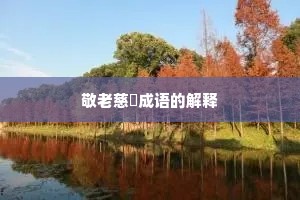 敬老慈穉成语的解释