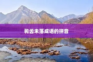驹齿未落成语的拼音