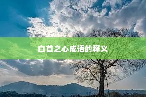 白首之心成语的释义