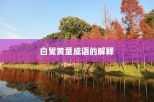 白叟黄童成语的解释