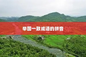 举国一致成语的拼音