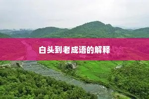 白头到老成语的解释