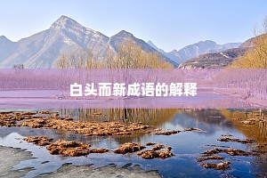 白头而新成语的解释