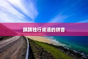 踽踽独行成语的拼音