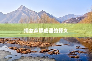捐忿弃瑕成语的释义