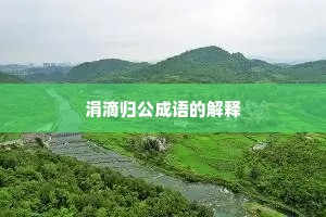 涓滴归公成语的解释