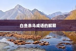 白鱼赤乌成语的解释