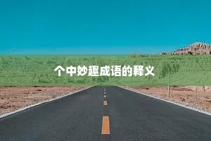 个中妙趣成语的释义