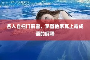 各人自扫门前雪，莫管他家瓦上霜成语的解释