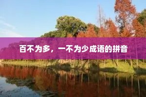 百不为多，一不为少成语的拼音