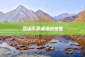 百读不厌成语的拼音