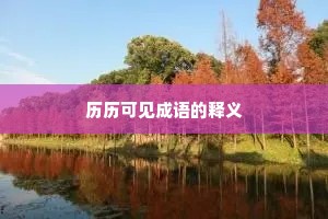 历历可见成语的释义
