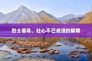 烈士暮年，壮心不已成语的解释