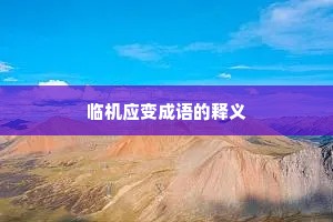 临机应变成语的释义