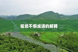 临危不惧成语的解释