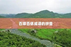 百顺百依成语的拼音