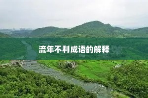流年不利成语的解释
