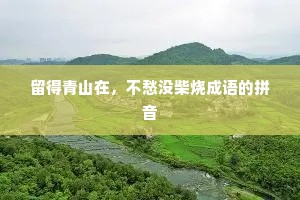 留得青山在，不愁没柴烧成语的拼音